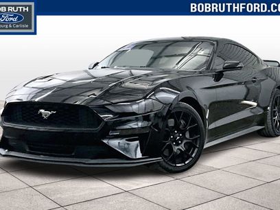 Used 2019 Ford Mustang Coupe w/ Ecoboost Performance Package