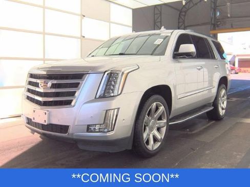 Used 2019 Cadillac Escalade Luxury image 1