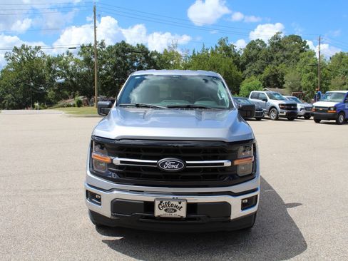 Used 2025 Ford F150 XLT w/ Equipment Group 301A Standard RWD image 5
