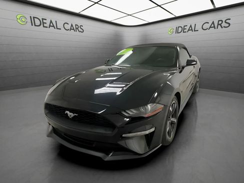 Used 2019 Ford Mustang Convertible w/ Equipment Group 101A RWD image 1