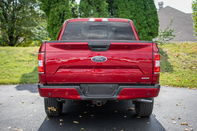 Used 2019 Ford F150 XLT w/ Equipment Group 302A Luxury AWD/4WD image 6