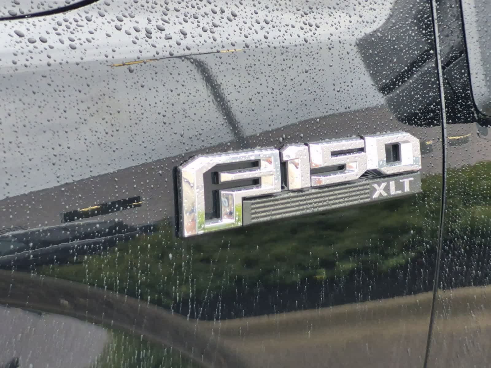 Used 2019 Ford F150 XLT w/ Equipment Group 302A Luxury AWD/4WD image 13