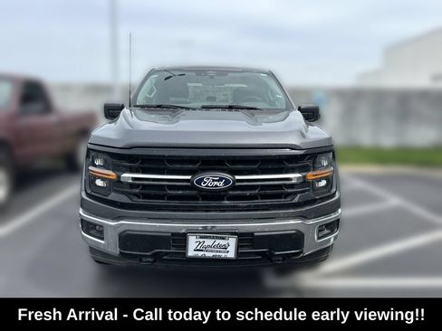 Used 2025 Ford F150 XLT w/ Equipment Group 301A Standard AWD/4WD image 2