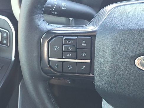 Used 2025 Ford F250 Platinum image 30