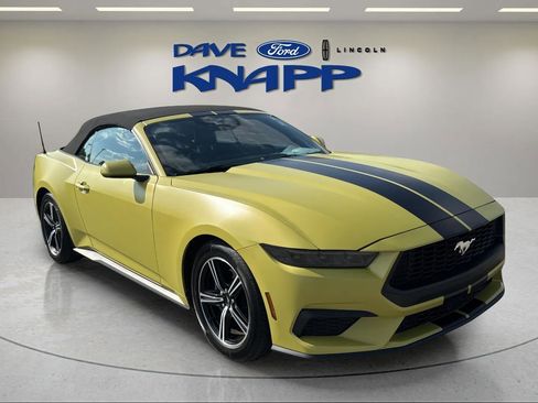 Used 2025 Ford Mustang Premium image 1