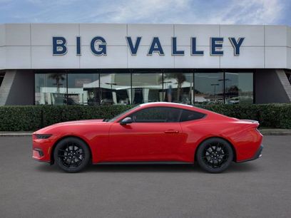 New 2026 Ford Mustang Coupe w/ Mustang Nite Pony Package
