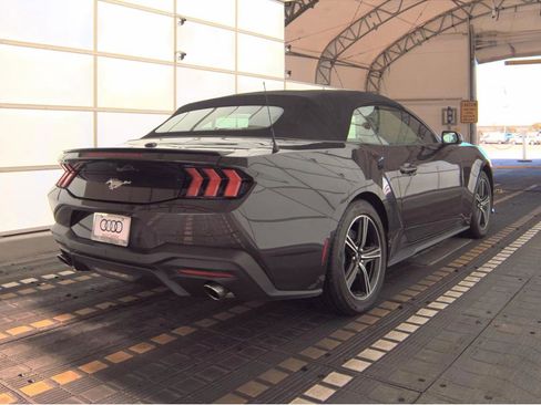 Used 2024 Ford Mustang Premium image 4