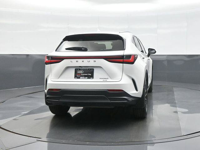 Used 2023 Lexus NX 250 AWD w/ Cold Area Package image 6