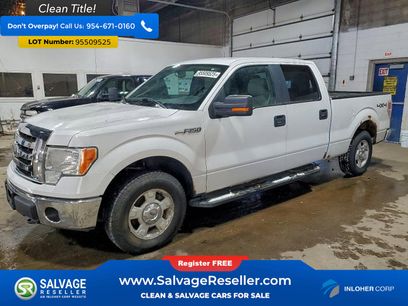 Used 2010 Ford F150 4x4 SuperCrew