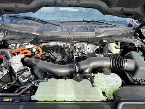 New 2025 Ford F150 XLT w/ Equipment Group 303A High image 25