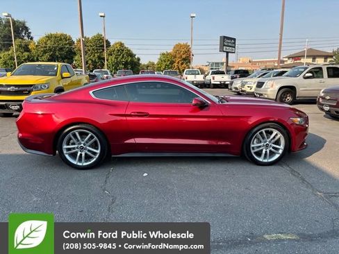 Used 2016 Ford Mustang Premium w/ Equipment Group 201A RWD image 4