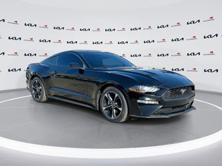 Used 2019 Ford Mustang Coupe w/ Equipment Group 101A video 1