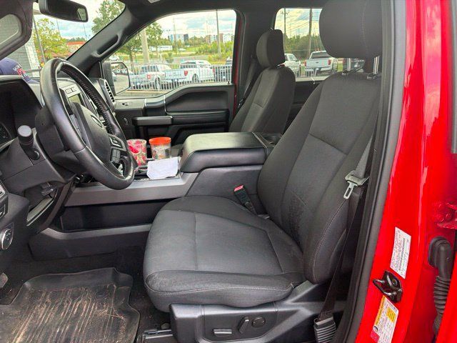 Used 2020 Ford F150 XLT w/ Equipment Group 302A Luxury AWD/4WD image 10