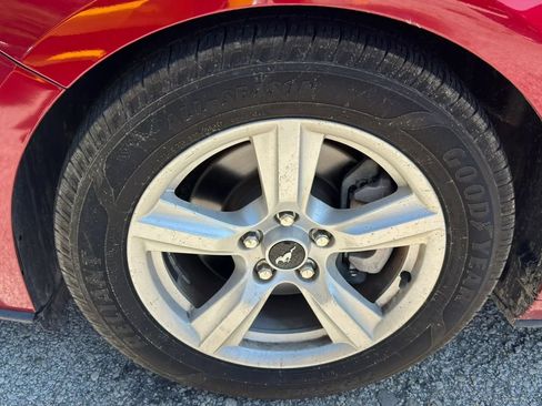 Used 2019 Ford Mustang Coupe RWD image 19