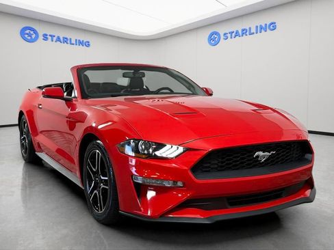 Used 2020 Ford Mustang Premium RWD image 14