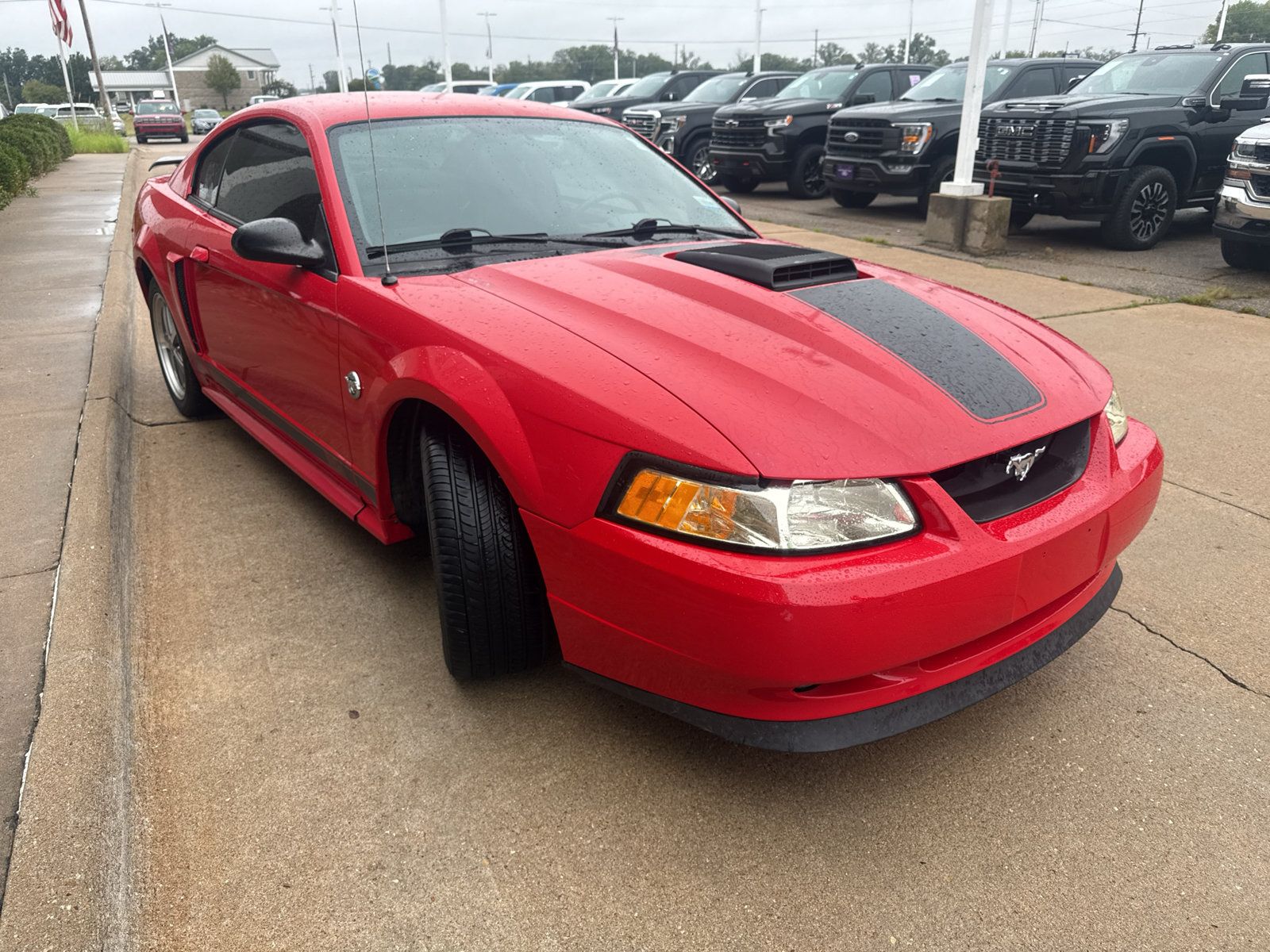 Used 2004 Ford Mustang Mach 1 RWD image 4