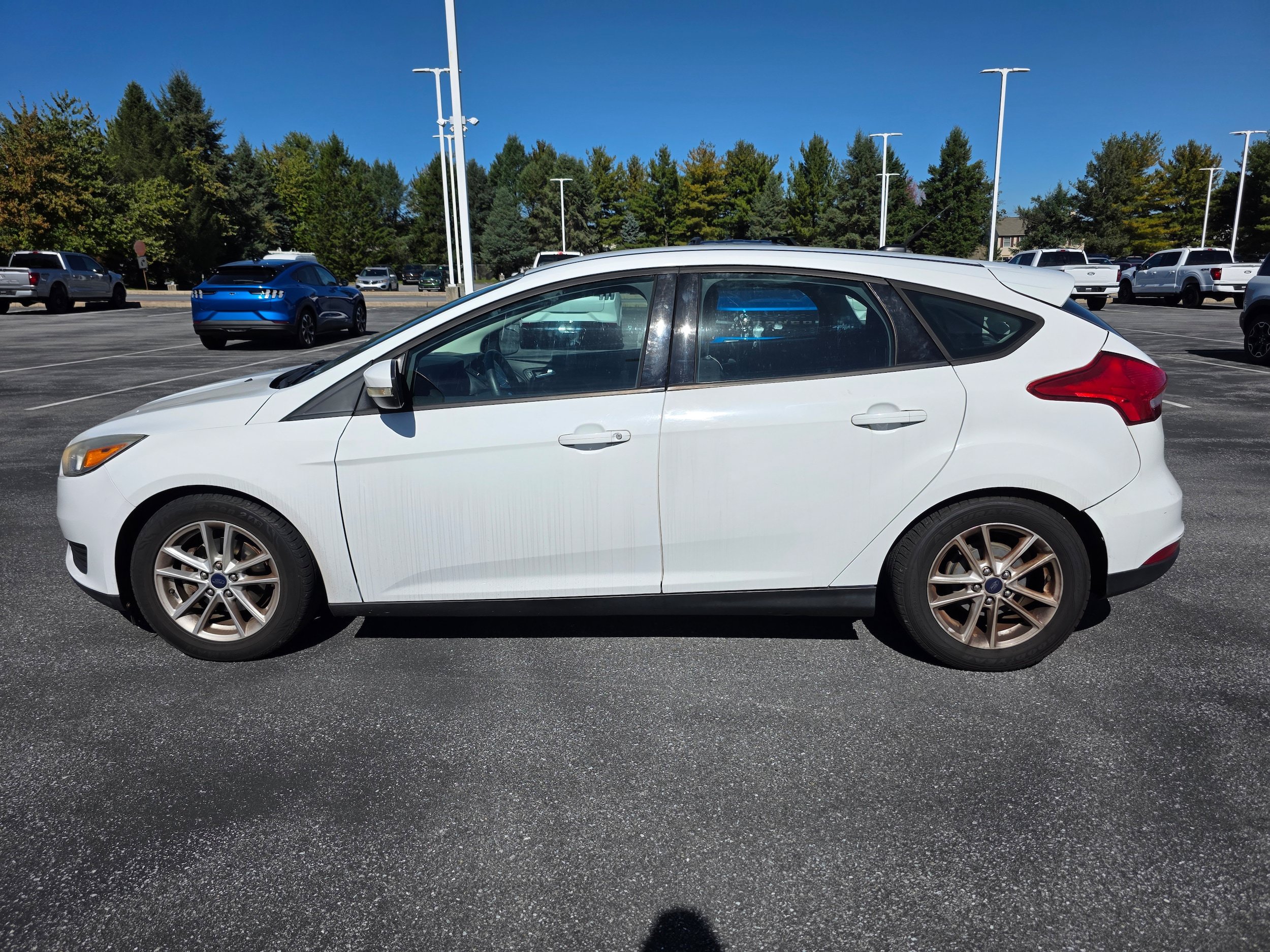 Used 2016 Ford Focus SE FWD image 2