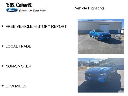 Used 2019 Ford Mustang Premium w/ Equipment Group 201A image 11