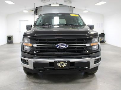Used 2025 Ford F150 XLT w/ Equipment Group 301A Standard