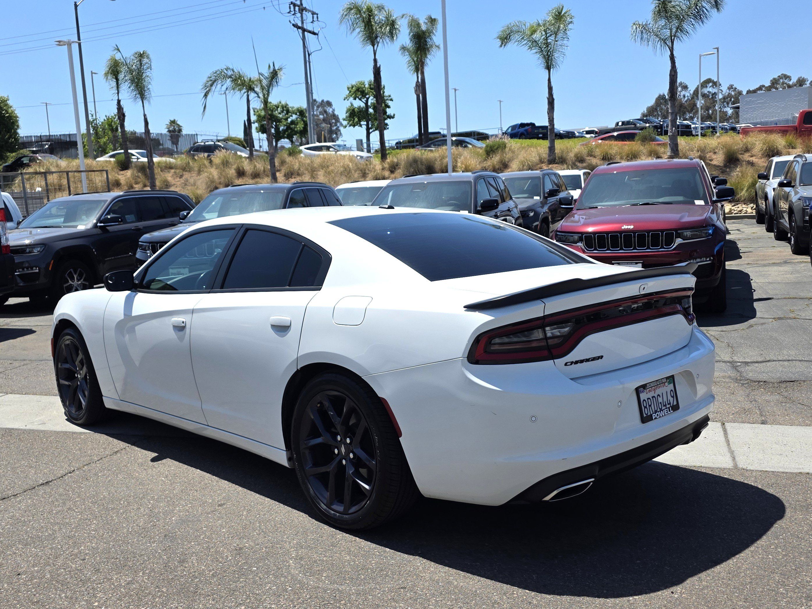 Used 2020 Dodge Charger SXT w/ Blacktop Package RWD image 3