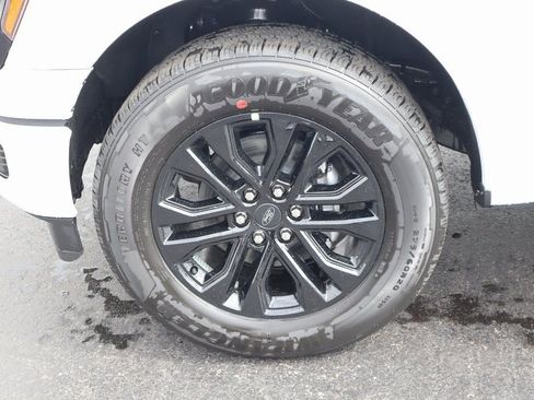 New 2025 Ford F150 XLT w/ Equipment Group 302A MID image 19