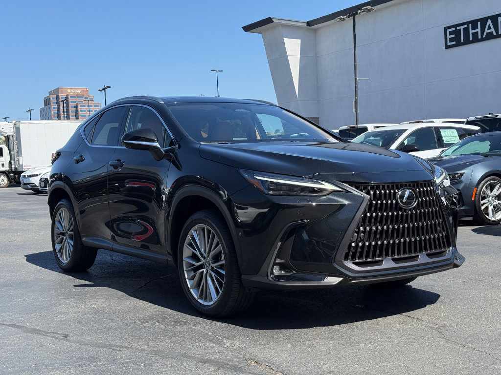 Used 2025 Lexus NX 350h AWD w/ Cold Area Package image 5