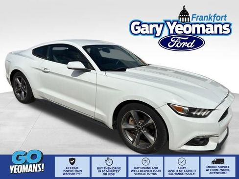 Used 2015 Ford Mustang Coupe w/ Equipment Group 051A image 1
