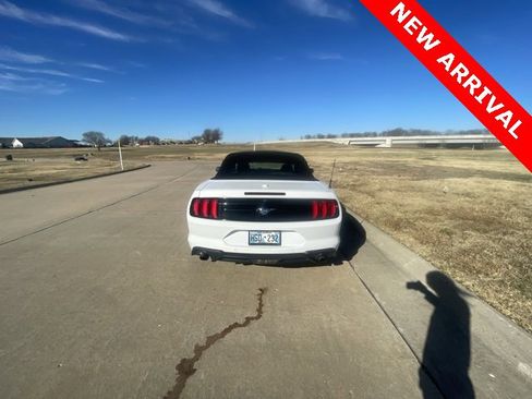 Used 2019 Ford Mustang Premium image 6