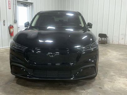 New 2025 Ford Mustang Mach-E Premium