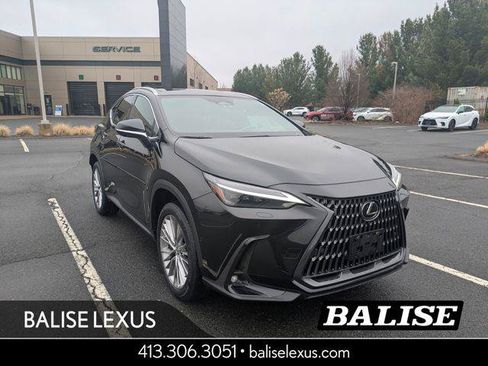 Certified 2025 Lexus NX 350 AWD w/ Rear Seat Package image 1