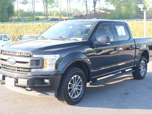 Used 2019 Ford F150 XLT w/ Equipment Group 302A Luxury image 3