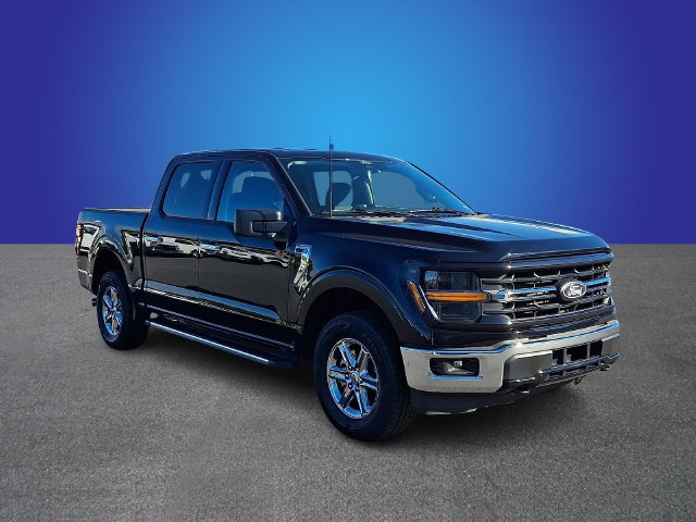 Used 2025 Ford F150 XLT w/ Equipment Group 301A Standard AWD/4WD image 3