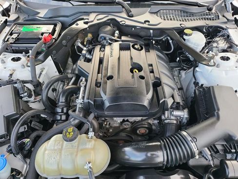 Used 2020 Ford Mustang Premium image 20