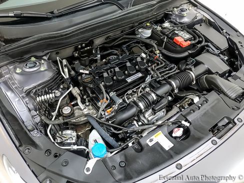 Used 2019 Honda Accord EX image 34