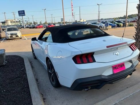 Used 2024 Ford Mustang Convertible RWD image 15