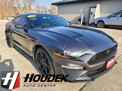 Used 2019 Ford Mustang Coupe w/ Equipment Group 101A image 1
