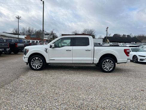 Used 2023 Ford F150 Limited image 5