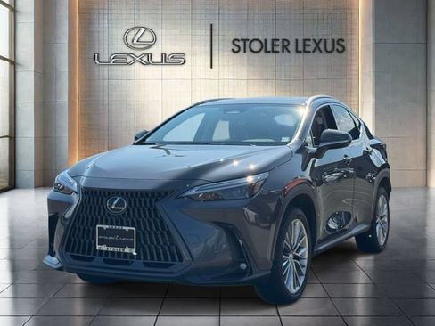 Used 2025 Lexus NX 350 AWD w/ Cold Area Package image 3