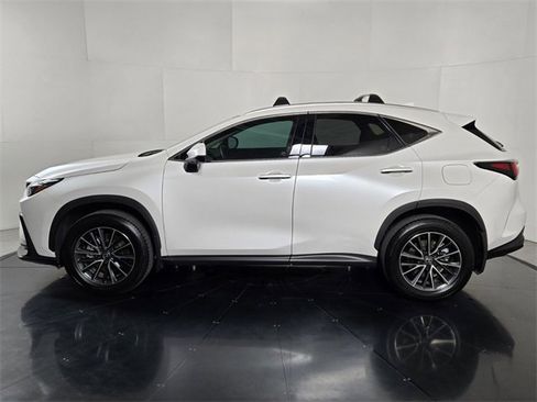 Certified 2025 Lexus NX 350h AWD w/ Cold Area Package image 3