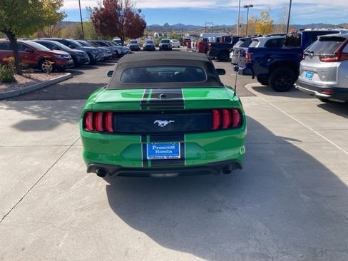 Used 2019 Ford Mustang Premium w/ Equipment Group 201A image 7