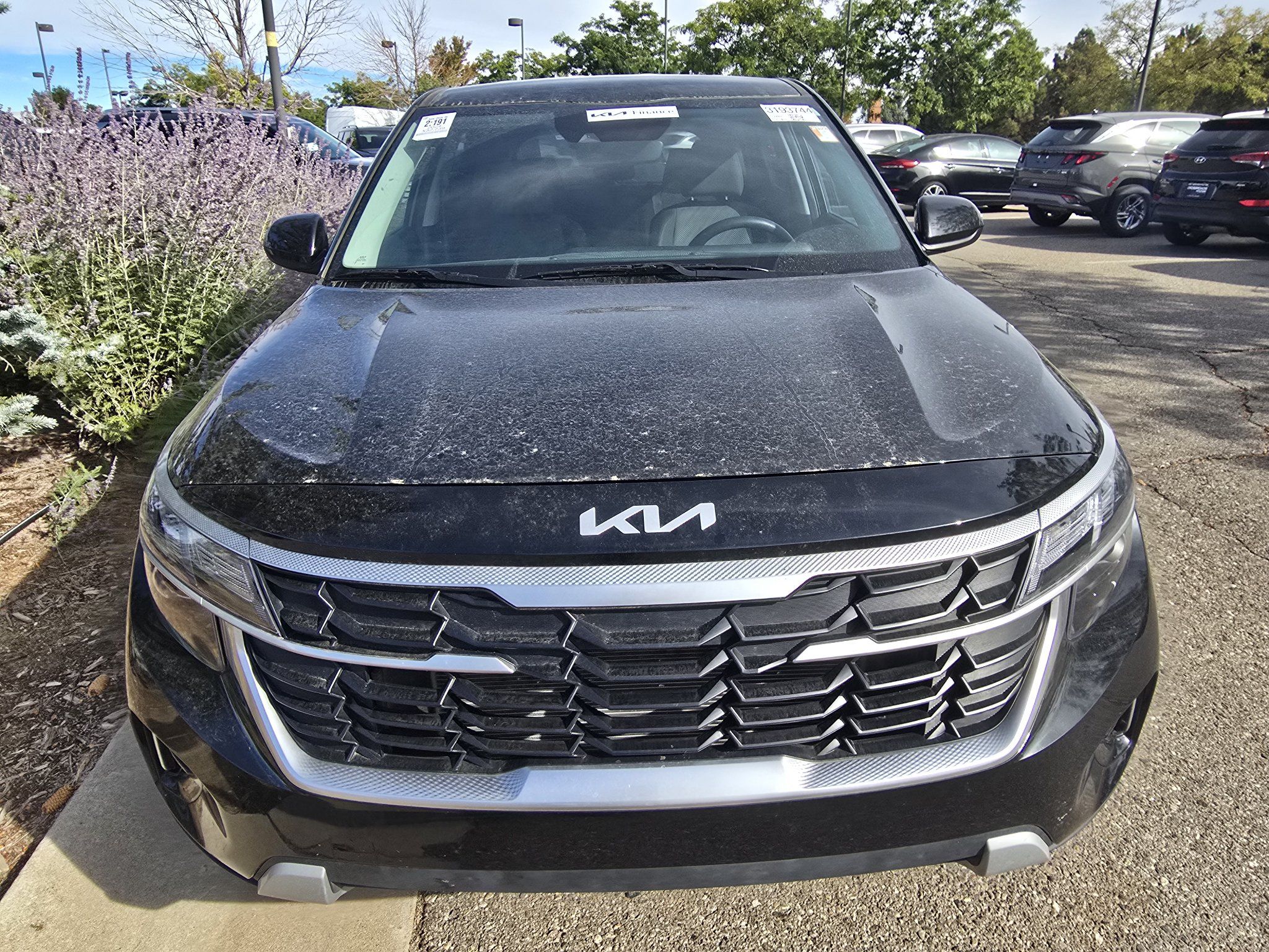 Used 2024 Kia Seltos LX AWD/4WD image 8