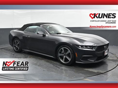 Used 2024 Ford Mustang Premium image 1