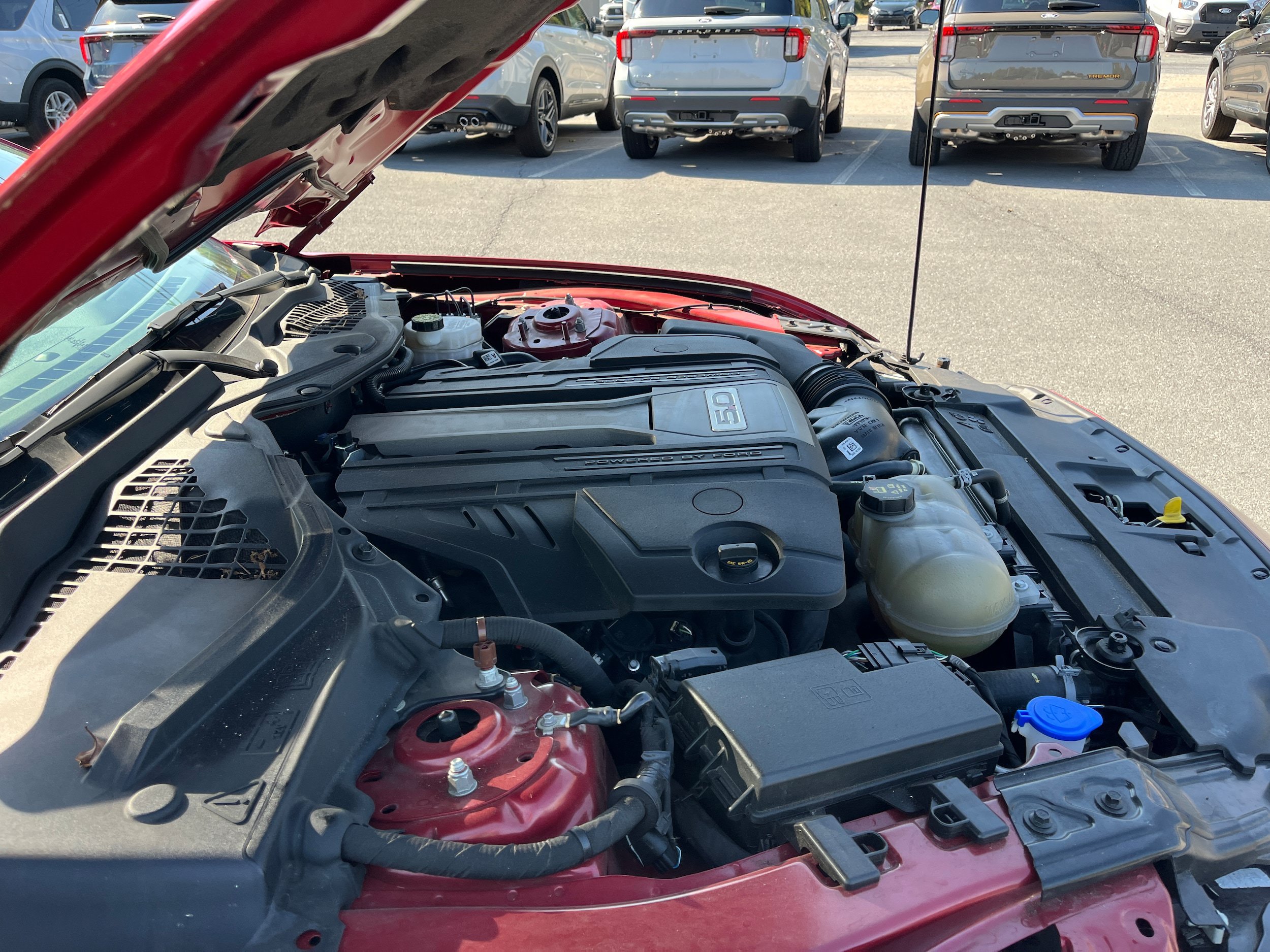 Certified 2020 Ford Mustang GT w/ Equipment Group 301A RWD image 13