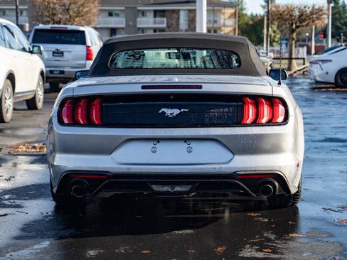 Used 2019 Ford Mustang Premium image 8