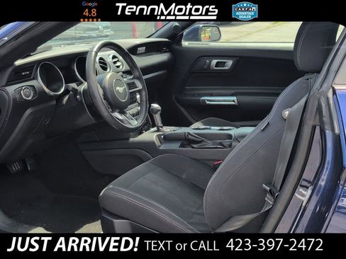Used 2019 Ford Mustang Coupe RWD image 11