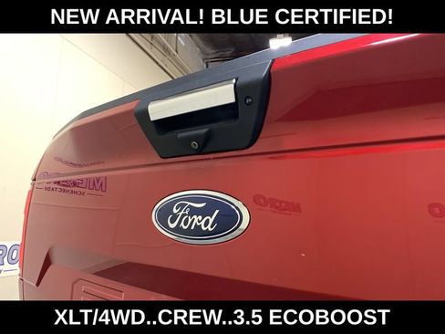 Used 2020 Ford F150 XLT w/ Equipment Group 302A Luxury AWD/4WD image 20