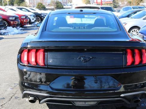 Used 2019 Ford Mustang EcoBoost Fastback w/ Black Accent Package image 7