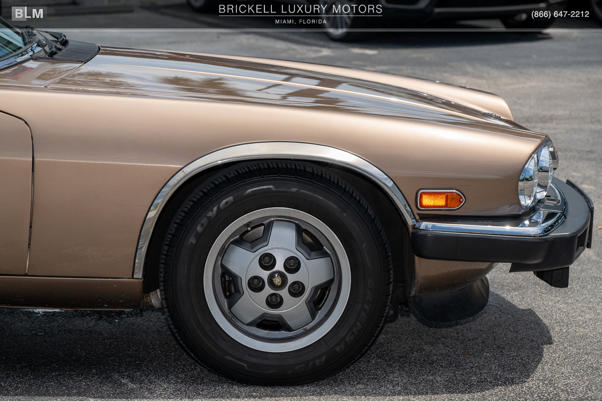 Used 1987 Jaguar XJS V12 Coupe RWD image 45