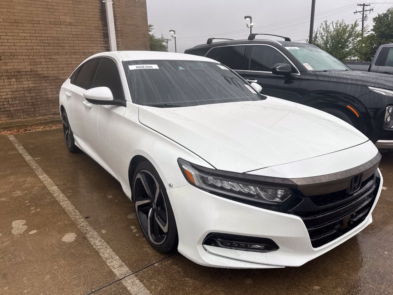 Used 2020 Honda Accord Sport image 3