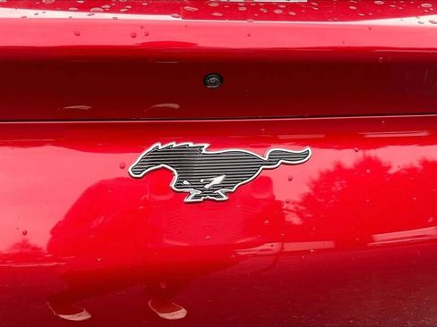 Used 2021 Ford Mustang Mach-E California Route 1 RWD image 25